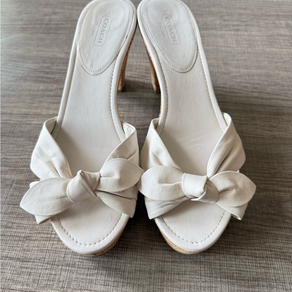 Coach Karen Heels